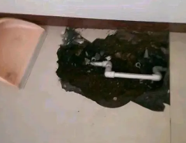 科尔沁左翼后卫生间测漏水多少钱